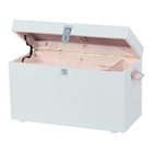 Maurer-Werkzeugkiste Holz 650/300mm