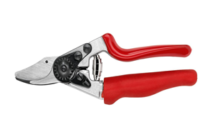 Felco 12 Baumschere  