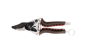 Felco 6 Elite