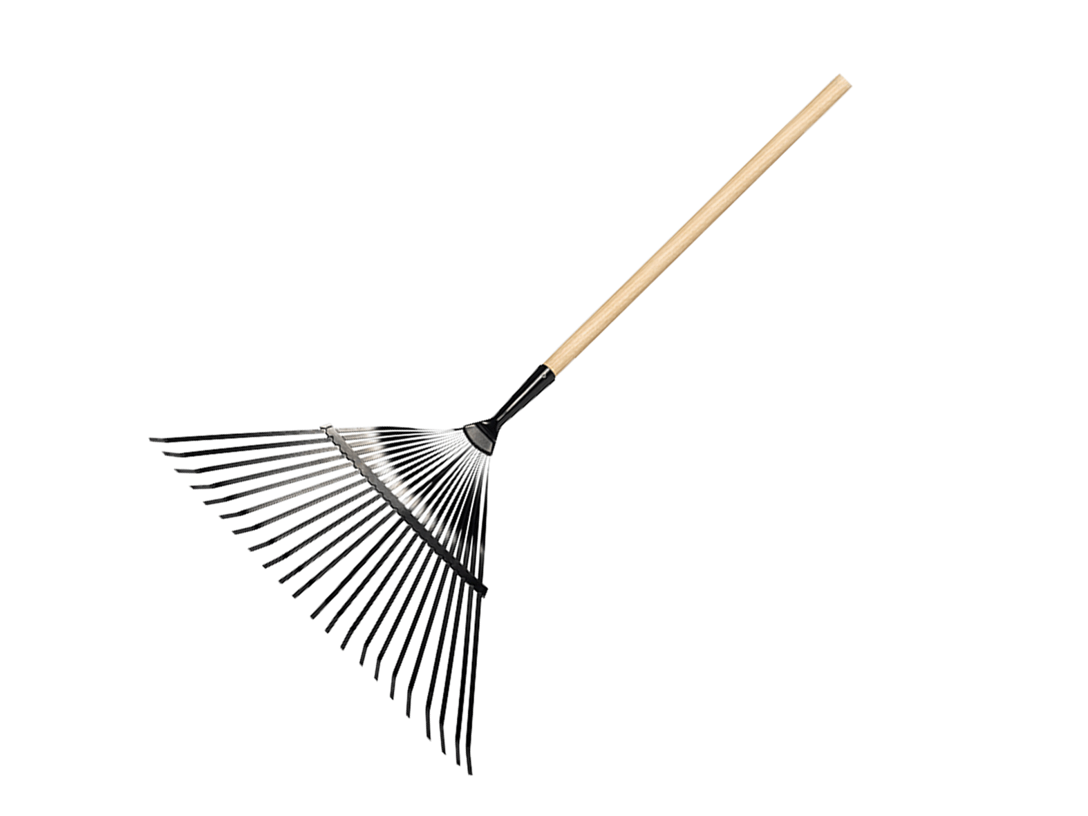 Laubbesen Zeintra XXL