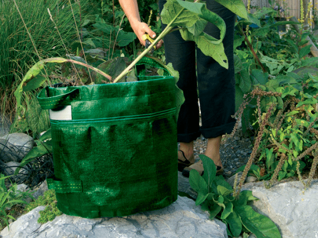 Garten-Bag  grün Colibri