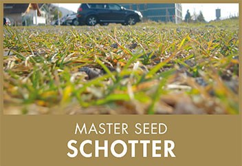 Master Seed Schotter