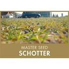 Master Seed Schotter
