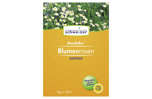 Mondoflor klassischer Blumenrasen