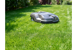 Master Seed Robo Lawn für Rasenroboter