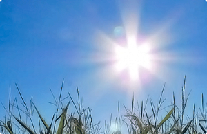 Sonnenschutz